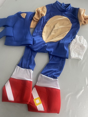 Vestito costume carnevale - vestito,